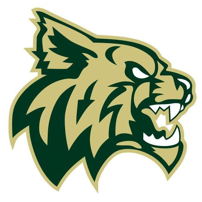 chisago-lakes
