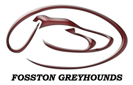 fosston